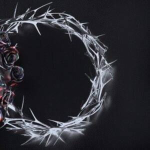 The Rose - Dual (Dusk) in the group CD / Pop-Rock at Bengans Skivbutik AB (4314271)