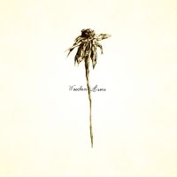Patrick Watson - Wooden Arms in the group VINYL / Bestsellers at Bengans Skivbutik AB (4314287)