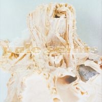 Pale Saints - In Ribbons (Black Vinyl) in the group VINYL / Bestsellers at Bengans Skivbutik AB (4315251)