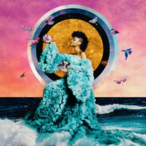 Allison Russell - The Returner in the group VINYL / Pop-Rock at Bengans Skivbutik AB (4315469)