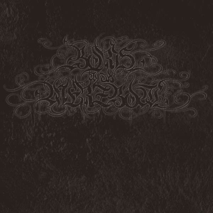 Boris With Merzbow - 4092001 in the group VINYL / Hårdrock at Bengans Skivbutik AB (4316455)