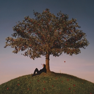 Slowthai - Tyron in the group VINYL / Hip Hop-Rap at Bengans Skivbutik AB (4317470)