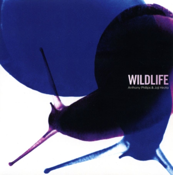 Phillips Anthony & Joji Hirota - Wildlife (Remastered And Expanded) in the group CD / Bestsellers at Bengans Skivbutik AB (4349620)