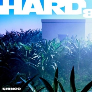 Shinee - 8th Full Album (HARD) (SMini Ver.) NO CD in the group CD / K-Pop at Bengans Skivbutik AB (4375200)