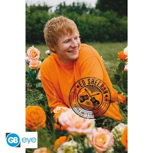 Ed Sheeran - Poster Rose Field  91,5 X 61 Cm in the group MERCHANDISE /  /  at Bengans Skivbutik AB (4401456)