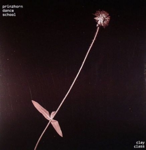 Prinzhorn Dance Scho - Clay Class - Vinyl in the group OUR PICKS / Blowout / Blowout-LP at Bengans Skivbutik AB (480719)