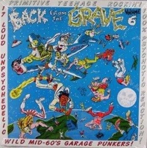 Various Artists - Vol.6 - Back From The Grave in the group VINYL / Pop-Rock at Bengans Skivbutik AB (481278)