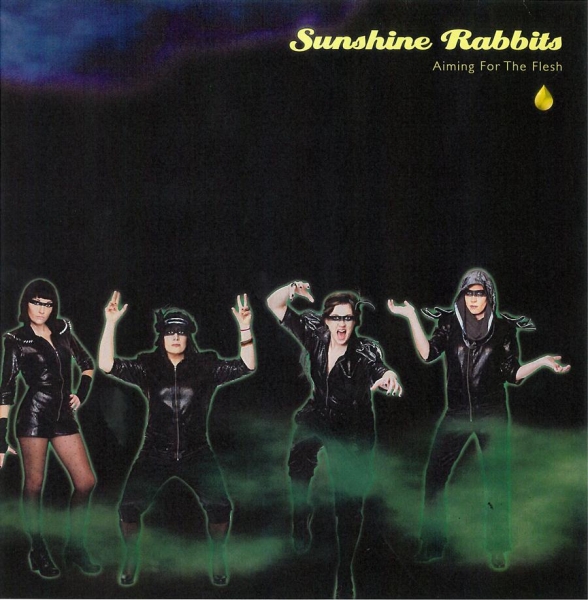 Sunshine Rabbits - Aiming For The Flesh in the group VINYL / Bestsellers at Bengans Skivbutik AB (481633)