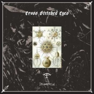 Cross Stitched Eyes - Decomposition in the group VINYL / Pop-Rock at Bengans Skivbutik AB (481647)