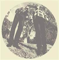 Segall Ty & White Fence - Hair in the group VINYL / Pop-Rock at Bengans Skivbutik AB (482129)