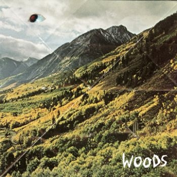 Woods - Songs Of Shame in the group VINYL / Bestsellers at Bengans Skivbutik AB (485165)