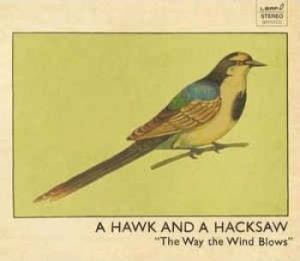 Hawk And A Hacksaw - Way The Wind Blows (Inkl.Cd) in the group VINYL / Pop at Bengans Skivbutik AB (485345)