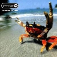 The Prodigy - Fat Of The Land (Reissue) in the group OUR PICKS / Bengans Staff Picks / Erikas gameday at Bengans Skivbutik AB (486860)