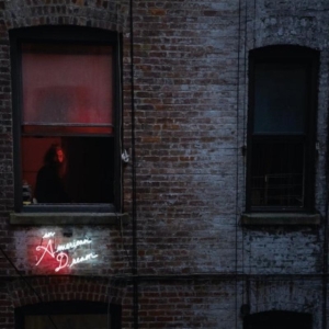 Vietnam - An American Dream in the group VINYL / Pop-Rock at Bengans Skivbutik AB (486891)