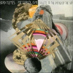 Bird Names - Metabolism: A Salute To The Energy in the group VINYL / Pop-Rock at Bengans Skivbutik AB (489191)