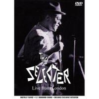 Selecter - Live From London in the group MUSIK / DVD Audio / Reggae at Bengans Skivbutik AB (490145)