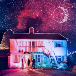 Tripwires - Spacehopper in the group VINYL / Pop-Rock at Bengans Skivbutik AB (492839)