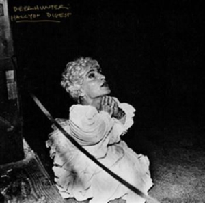 Deerhunter - Halcyon Digest in the group OUR PICKS / Best Album Of The 10s / Bäst Album Under 10-talet - Pitchfork at Bengans Skivbutik AB (492849)
