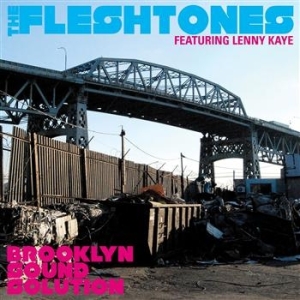 Fleshtones - Brooklyn Sound Solution in the group OUR PICKS / Classic labels / YepRoc / Vinyl at Bengans Skivbutik AB (493751)