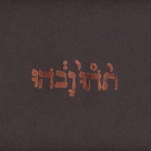 Godspeed You! Black Emperor - Slow Riot For A New Zero Kanada in the group Minishops /  Godspeed You at Bengans Skivbutik AB (493872)