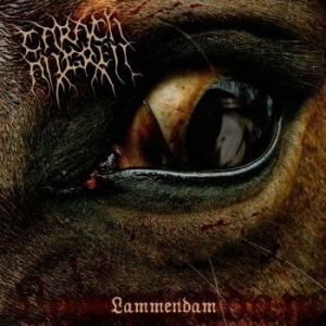Carach Angren - Lammendam (2 Vinyl Lp) in the group VINYL / Hårdrock/ Heavy metal at Bengans Skivbutik AB (494016)