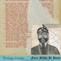 Teenage Guitar - Force Fields At Home in the group VINYL / Pop-Rock at Bengans Skivbutik AB (496477)