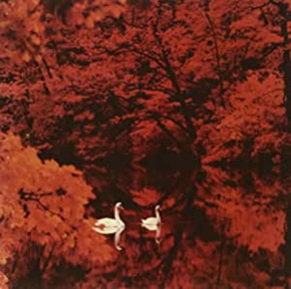 Red Favorite - Red Favorite in the group VINYL / Bestsellers at Bengans Skivbutik AB (496612)