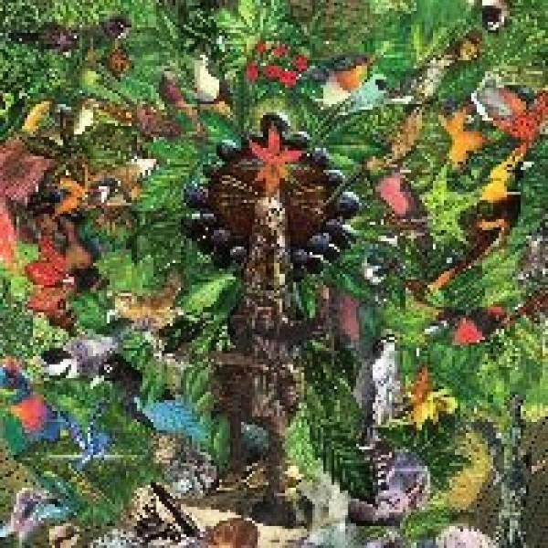 Plankton Wat - Drifter's Temple in the group VINYL / Bestsellers at Bengans Skivbutik AB (499649)