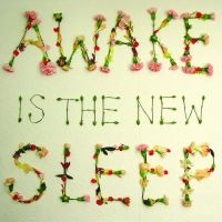 Lee Ben - Awake Is The New Sleep in the group CD / Pop-Rock at Bengans Skivbutik AB (502384)