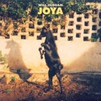 Bonnie 'Prince' Billy - Joya in the group OUR PICKS / Way Out West 2026 at Bengans Skivbutik AB (502965)