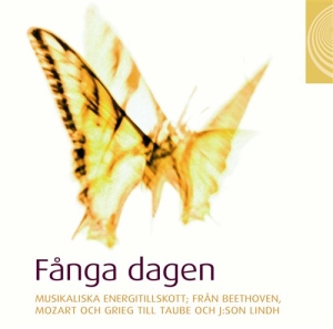 Various - Fånga Dagen in the group Externt_Lager /  at Bengans Skivbutik AB (504410)