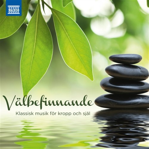 Various - Välbefinnande - Klassisk Musik För in the group Externt_Lager /  at Bengans Skivbutik AB (505578)