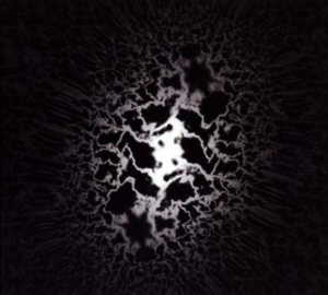 Trad Gras Och Stenar - Homeless Cats in the group Minishops / Träd Gräs Och Stenar at Bengans Skivbutik AB (506909)