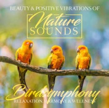 Laserdance - Ambiente in the group CD / Bestsellers at Bengans Skivbutik AB (506989)