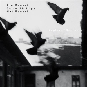 Maneri Joe - Angles Of Repose in the group CD / Jazz/Blues at Bengans Skivbutik AB (511963)