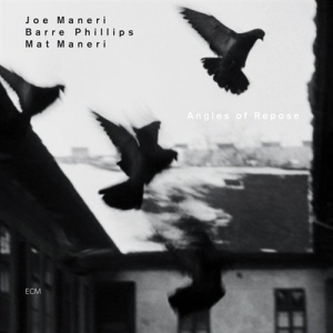 Maneri Joe - Angles Of Repose in the group CD / Jazz at Bengans Skivbutik AB (511963)