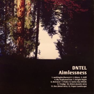 Dntel - Aimlessness in the group CD / Pop at Bengans Skivbutik AB (512825)
