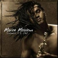 Meadows Marion - Dressed To Chill in the group CD / Jazz at Bengans Skivbutik AB (513414)