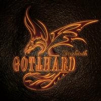 GOTTHARD - FIREBIRTH in the group CD / Pop-Rock at Bengans Skivbutik AB (513589)