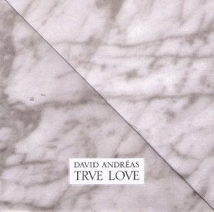 David Andréas - True Love in the group CD / Jazz/Blues at Bengans Skivbutik AB (515481)