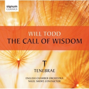 Todd - The Call Of Wisdom in the group Externt_Lager /  at Bengans Skivbutik AB (519792)