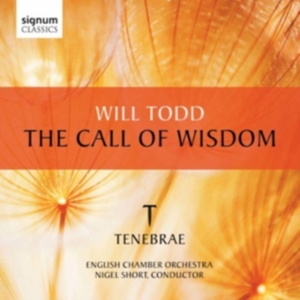 Todd - The Call Of Wisdom in the group Externt_Lager / at Bengans Skivbutik AB (519792)