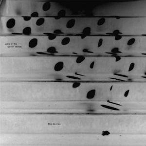 Voice Of The Seven Woods - Journey in the group CD / Elektroniskt at Bengans Skivbutik AB (522414)