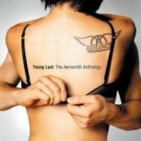 Aerosmith - Young Lust/Anthology in the group OTHER / MK Test 8 CD at Bengans Skivbutik AB (524698)