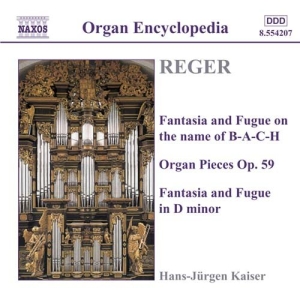 Reger Max - Organ Works Vol 3 in the group Externt_Lager /  at Bengans Skivbutik AB (524727)