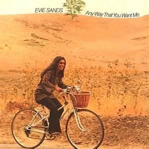 Sands Evie - Any Way That You Want Me in the group OUR PICKS / Blowout / Blowout-CD at Bengans Skivbutik AB (525530)
