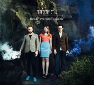 Riedel/Svensson/Skokic - Perfectly Still in the group CD / Jazz at Bengans Skivbutik AB (527213)