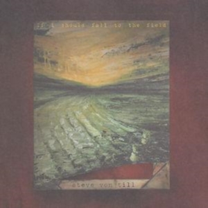 Von Till Steve - If I Should Fall To The Field in the group CD / Pop-Rock at Bengans Skivbutik AB (533631)