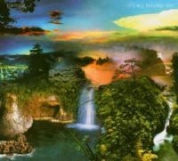 Tortoise - It's All Around You in the group CD / Pop-Rock at Bengans Skivbutik AB (534373)