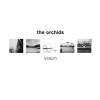 ORCHIDS - LYCEUM + SINGLES in the group CD / Pop-Rock at Bengans Skivbutik AB (535370)
